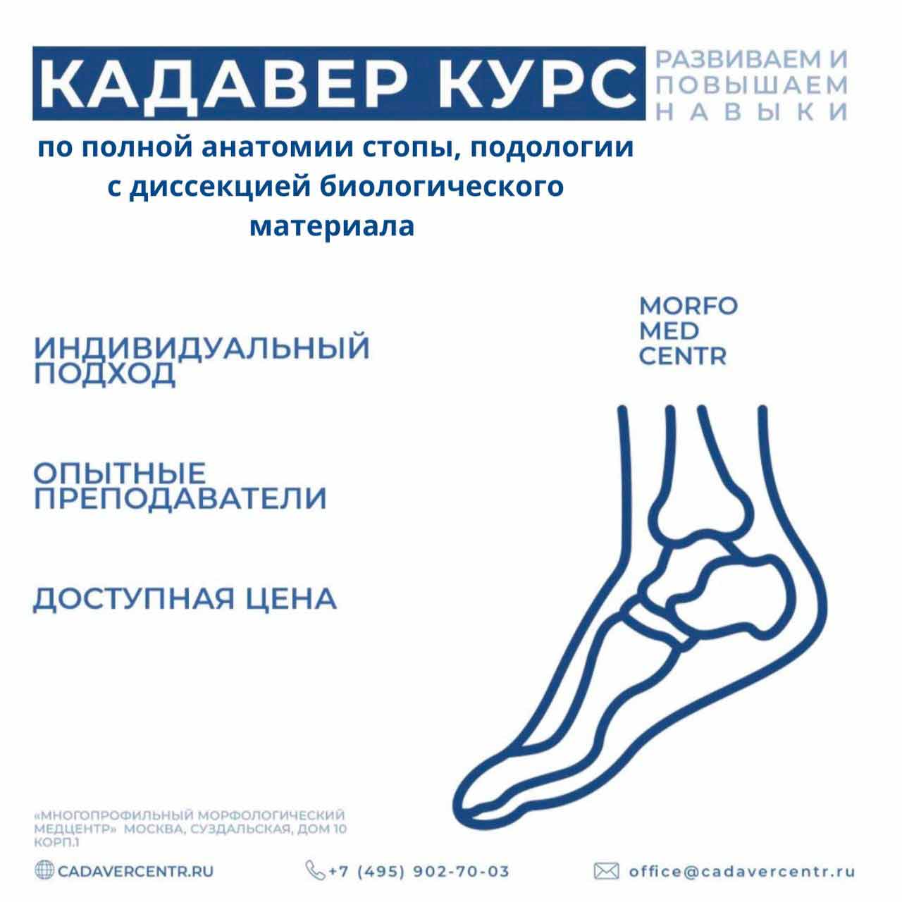                                     В Перми прошел научно-практический курс по полной анатомии стопы, подологии с диссекцией биологического материала